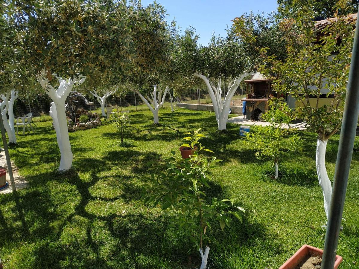 Amarantos Beautiful Garden House Villa Metokhion Patriotikon Ngoại thất bức ảnh